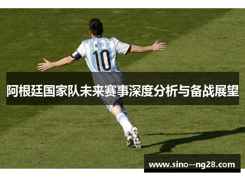 阿根廷国家队未来赛事深度分析与备战展望