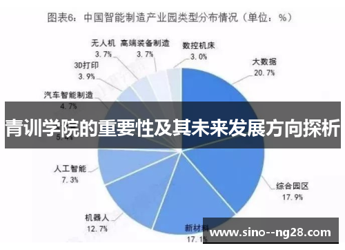 青训学院的重要性及其未来发展方向探析