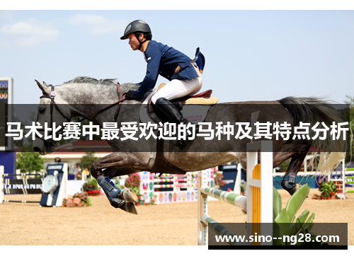 马术比赛中最受欢迎的马种及其特点分析