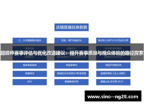 超级杯赛事评估与优化改进建议：提升赛事质量与观众体验的路径探索
