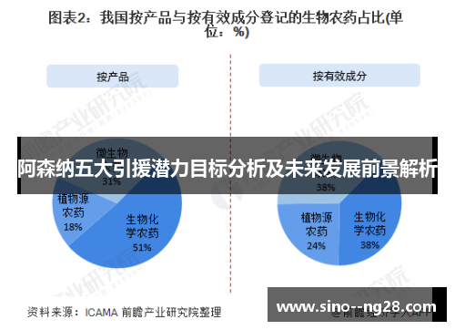 阿森纳五大引援潜力目标分析及未来发展前景解析