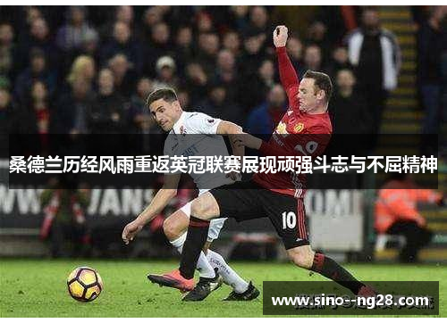 桑德兰历经风雨重返英冠联赛展现顽强斗志与不屈精神